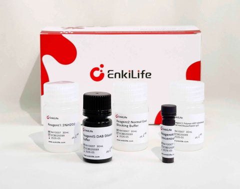 Polymer-HRP Anti-Mouse/Rabbit IHC Detection System(DAB solution） - ABMIUM