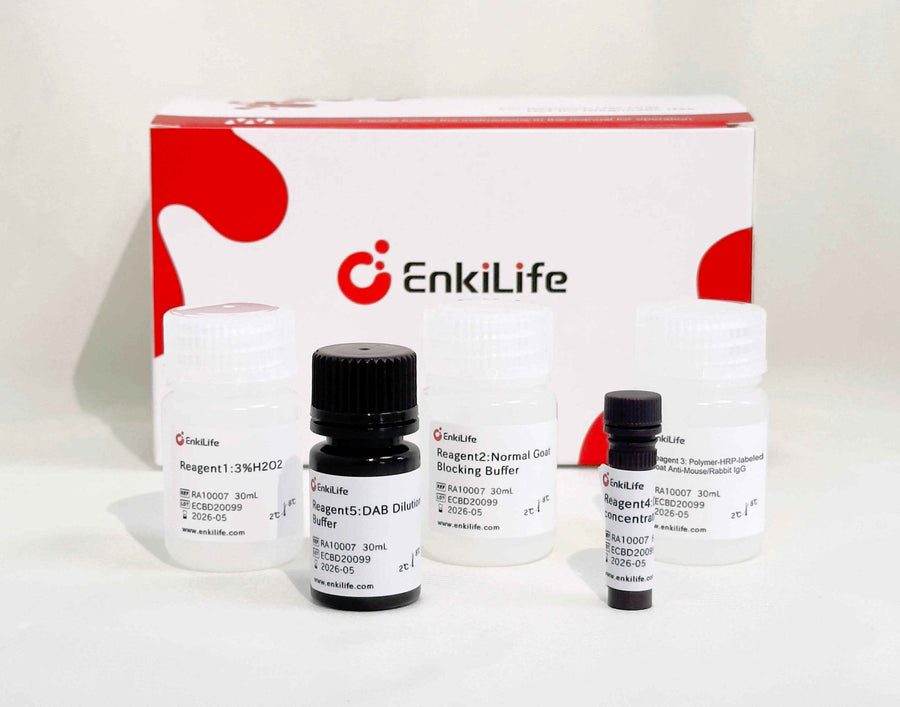 Polymer-HRP Anti-Mouse/Rabbit IHC Detection System(DAB solution） - ABMIUM