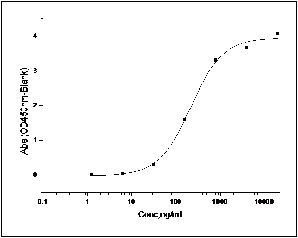 Measured by its binding ability in a functional ELISA. Immobilized recombinant human Angiopoietin-2 at 10 μg/ml (100 μl/well) can bind Human Tie2 / CD202b Protein (ECD, His & Fc Tag) with a range of 0.2-20 μg/ml.