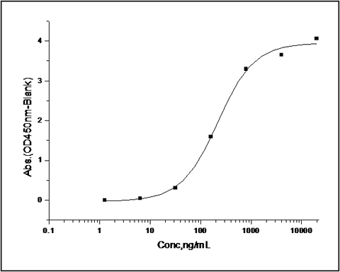 Measured by its binding ability in a functional ELISA. Immobilized recombinant human Angiopoietin-2 at 10 μg/ml (100 μl/well) can bind Human Tie2 / CD202b Protein (ECD, His & Fc Tag) with a range of 0.2-20 μg/ml.