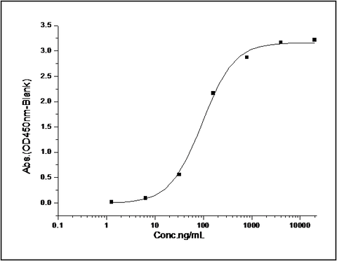 Measured by its binding ability in a functional ELISA. Immobilized human VLDLR-His (Cat: PKSH031275) at 10μg/mL (100μL/well) can bind biotinylated human LRPAP1-His (Cat: PKSH031256), the EC<sub>50</sub> of biotinylated human LRPAP1-His is 0.05-0.2 μg/mL.