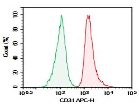 Anti-Human CD31 Antibody [WM59] - ABMIUM