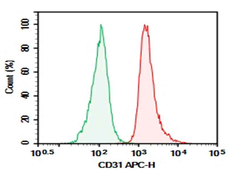 Anti-Human CD31 Antibody [WM59] - ABMIUM