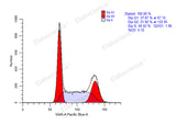 Cell Cycle Assay Kit (Blue Fluorescence) - ABMIUM