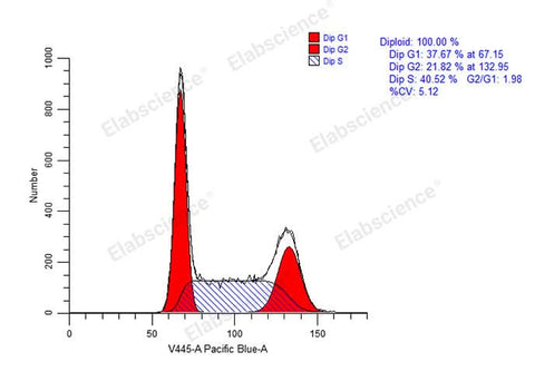 Cell Cycle Assay Kit (Blue Fluorescence) - ABMIUM