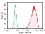 Anti-Human ROR1 Antibody [DA009]