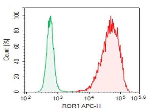 Anti-Human ROR1 Antibody [DA009] - ABMIUM