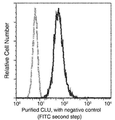 Anti-Human CLU Antibody [A868] - ABMIUM