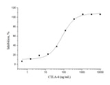 Measured by its ability to inhibit IL-2 secretion by stimulated Jurkat human acute T cell leukemia cells. The ED<sub>50</sub> for this effect is 0.05-0.3μg/mL when stimulated with 1 μg/mL Recombinant Human B7-1/CD80.