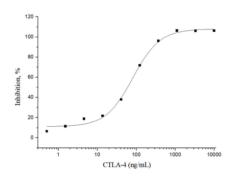 Measured by its ability to inhibit IL-2 secretion by stimulated Jurkat human acute T cell leukemia cells. The ED<sub>50</sub> for this effect is 0.05-0.3μg/mL when stimulated with 1 μg/mL Recombinant Human B7-1/CD80.