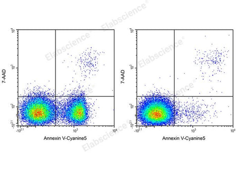 Annexin V-Cyanine5/7-AAD Apoptosis Kit - ABMIUM