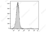 Anti-Mouse Ig light chain λ Antibody [RML-42] - ABMIUM