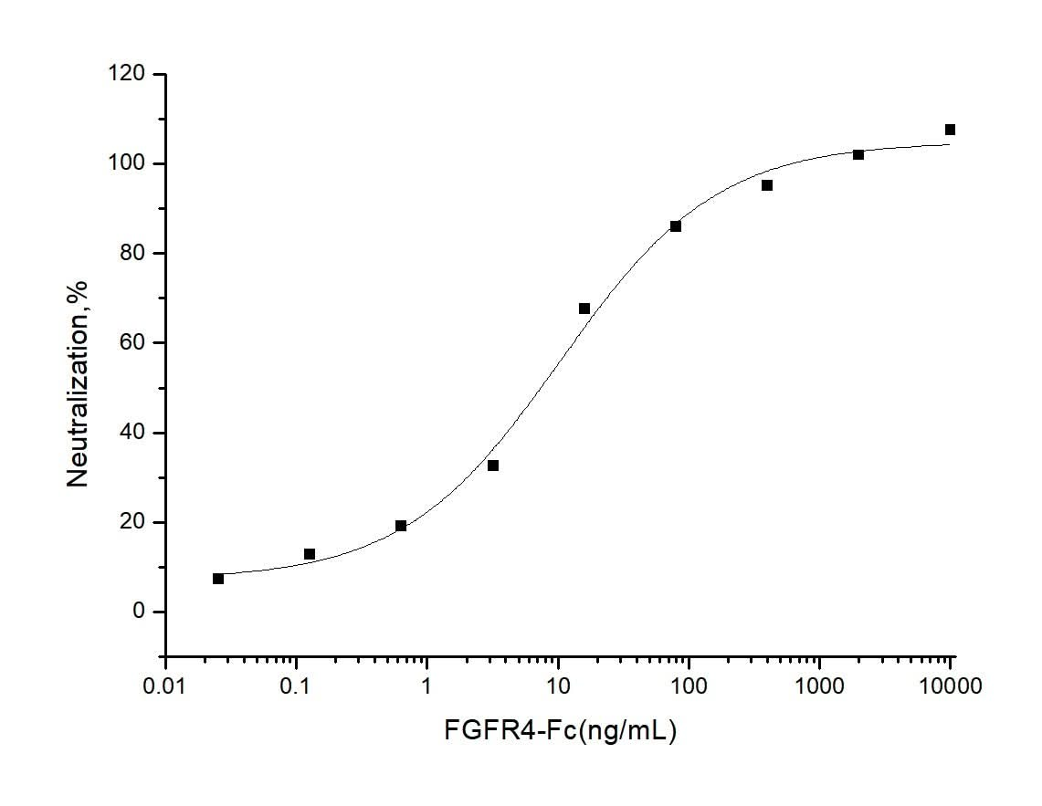 Measured by its ability to inhibit FGF acidic (aFGF / FGF1) dependent proliferation of Balb/c3T3 mouse embryonic fibroblasts. The ED<sub>50</sub> for this effect is typically 5-25ng/mL.