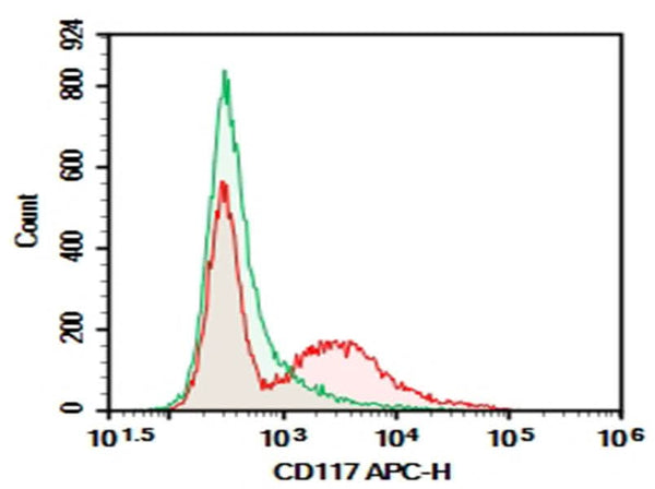 C57/BL6 Mouse bone marrow were stained with 0.2 μg AF/LE Purified Anti-Mouse CD117 Antibody[ACK2] (Right) and 0.2 μg Rat IgG2b, κ Isotype Control (Left), followed by APC-conjugated Goat Anti-Rat IgG Secondary Antibody.