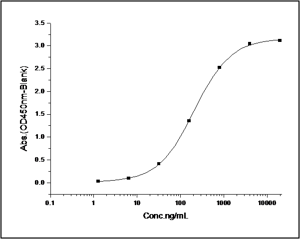 Measured by its binding ability in a functional ELISA. Immobilized human PTN (Cat: PKSH031708) at 10 μg/ml (100 μl/well) can bind rat SDC1-Fc (Cat: PKSR030216), The EC<sub>50</sub> of rat SDC1-Fc (Cat: PKSR030216) is 0.35-0.81 μg/ml.