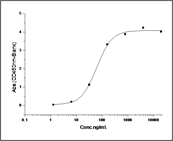 Measured by its binding ability in a functional ELISA. Immobilized human BCL2-His at 10 μg/ml (100 μl/well) can bind biotinylated mouse BCL2L1-His (Cat: PKSM040918), The EC<sub>50</sub> of biotinylated mouse BCL2L1-His (Cat: PKSM040918) is 0.07-0.15 μg/ml.