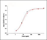 Measured by its binding ability in a functional ELISA. 1. Immobilized mouse EphA2 at 2 μg/ml (100 μl/well) can bind mouse EphrinA1 with a linear range of 0.16-20 ng/ml. 2. Immobilized mouse EphA2 at 2 μg/ml (100 μl/well) can bind human EphrinA1 with a linear range of 0.8-20 ng/ml.