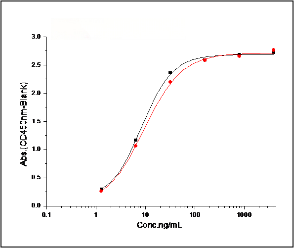 Measured by its binding ability in a functional ELISA. 1. Immobilized mouse EphA2 at 2 μg/ml (100 μl/well) can bind mouse EphrinA1 with a linear range of 0.16-20 ng/ml. 2. Immobilized mouse EphA2 at 2 μg/ml (100 μl/well) can bind human EphrinA1 with a linear range of 0.8-20 ng/ml.