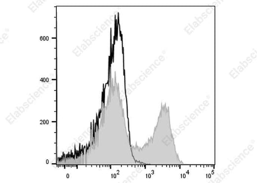 Anti-Rat RT1D Antibody [OX-17] - ABMIUM
