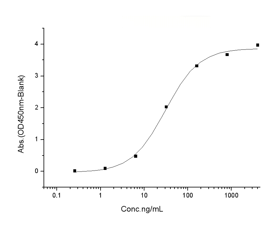 Immobilized Human BID (Cat: PKSH031587) at 2 μg/mL (100 μL/well) can bind Human Bcl-XL His (Cat: PKSH031599), the EC<sub>50</sub> of Human Bcl-XL His (Cat: PKSH031599) is 15-80 ng/mL.