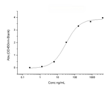 Immobilized Human BID (Cat: PKSH031587) at 2 μg/mL (100 μL/well) can bind Human Bcl-XL His (Cat: PKSH031599), the EC<sub>50</sub> of Human Bcl-XL His (Cat: PKSH031599) is 15-80 ng/mL.
