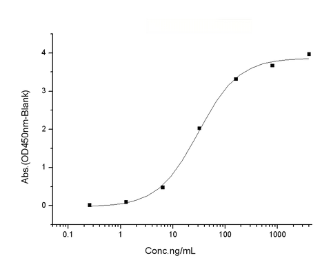 Immobilized Human BID (Cat: PKSH031587) at 2 μg/mL (100 μL/well) can bind Human Bcl-XL His (Cat: PKSH031599), the EC<sub>50</sub> of Human Bcl-XL His (Cat: PKSH031599) is 15-80 ng/mL.