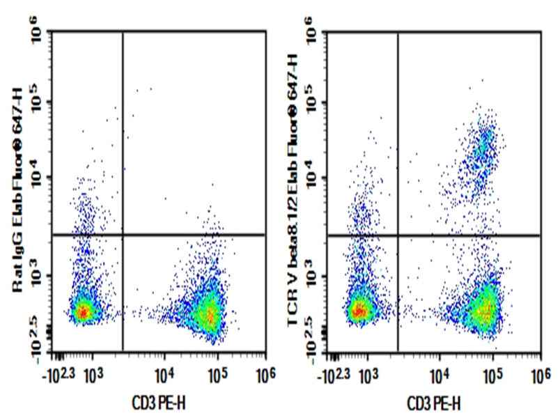 Anti-Mouse TCR V beta8.1/2 Antibody [KJ16-133.18] - ABMIUM