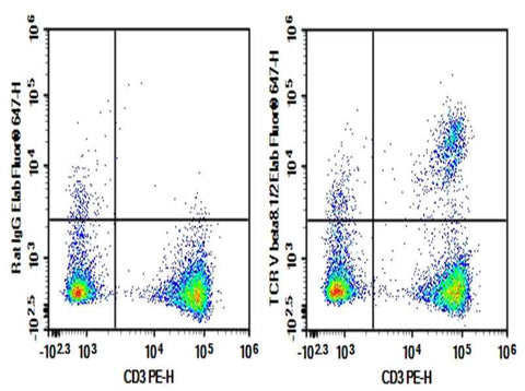 Anti-Mouse TCR V beta8.1/2 Antibody [KJ16-133.18] - ABMIUM
