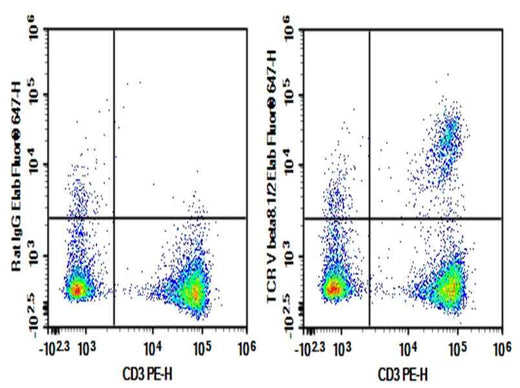 Anti-Mouse TCR V beta8.1/2 Antibody [KJ16-133.18] - ABMIUM