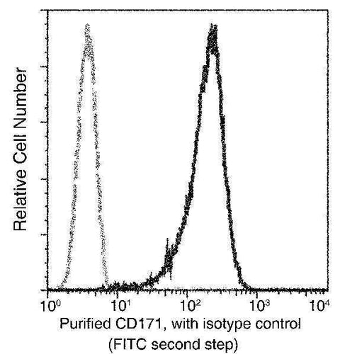 Anti-Human L1CAM Antibody [A1292] - ABMIUM