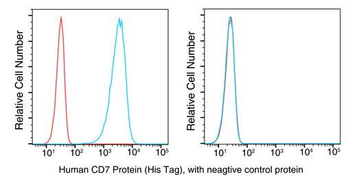 293 cells were transduced with anti-CD7-scFv and subjected to flow cytometric analysis using recombinant human CD7 (left, Cat. No. PKSH031298, red) and a negative control protein (blue). The cells were then stained with a PE-conjugated anti-HIS antibody. Non-transduced 293 cells were used as a control (right).