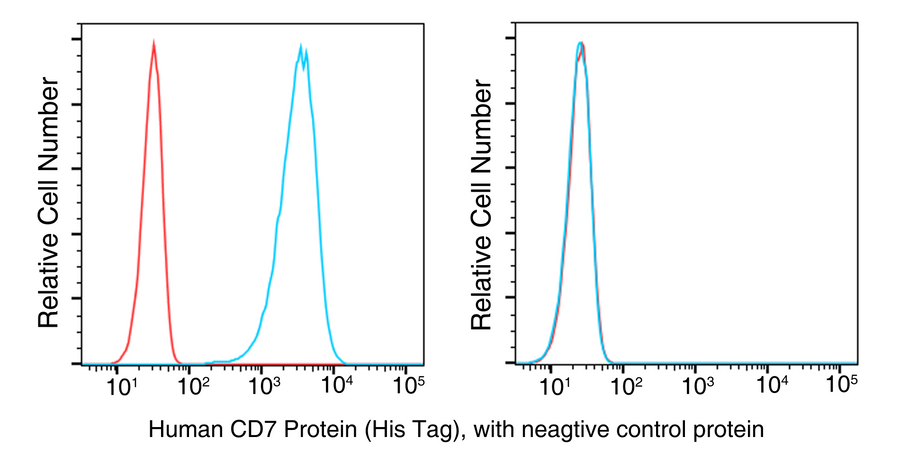 293 cells were transduced with anti-CD7-scFv and subjected to flow cytometric analysis using recombinant human CD7 (left, Cat. No. PKSH031298, red) and a negative control protein (blue). The cells were then stained with a PE-conjugated anti-HIS antibody. Non-transduced 293 cells were used as a control (right).