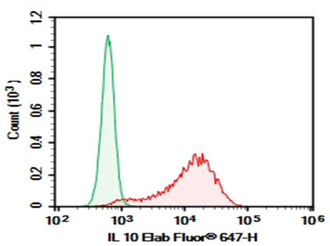 Anti-Human IL-10 Antibody [JES3.12G8] - ABMIUM