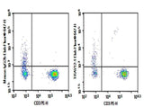 Anti-Human TRAV12-1 Antibody [S511] - ABMIUM