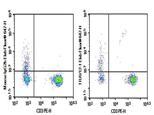 Anti-Human TRAV12-1 Antibody [S511] - ABMIUM