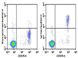 Human peripheral blood lymphocytes were stained with 0.2 μg Purified Anti-Human IgD Antibody[IA6-2] (RigD Monoclonal Antibody[IA6-2] (Right) and 0.2 μg Mouse IgG2a, κ Isotype Control (Left), followed by Elab Fluor<sup>®</sup> 647-conjugated Goat Anti-Mouse IgG Secondary Antibody, then anti-Human CD19 PE-conjugated Monoclonal Antibody.