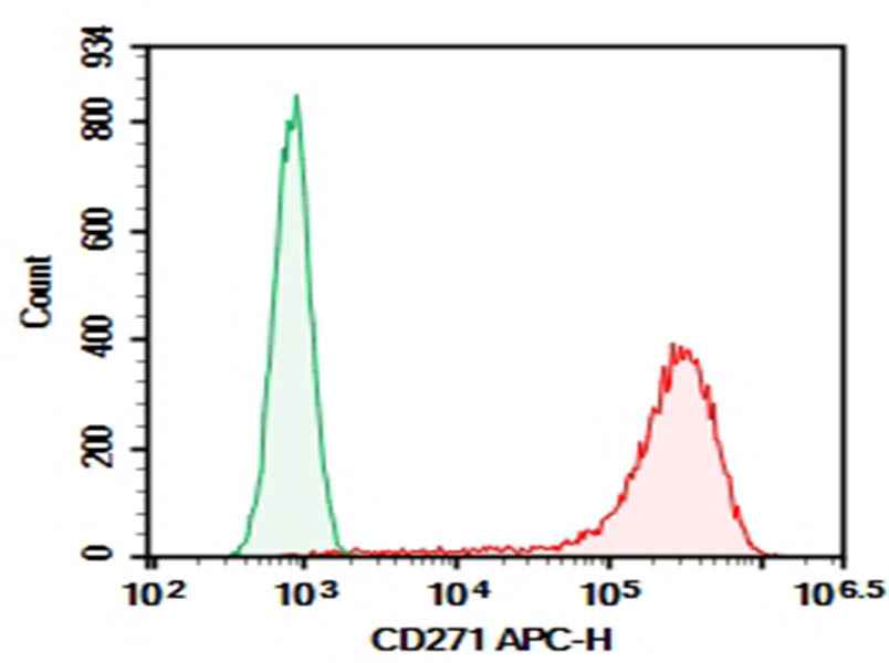 Anti-Human CD271 Antibody [ME20.4] - ABMIUM