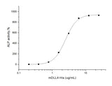 Measured by the ability of the immobilized protein to enhance BMP2-induced alkaline phosphatase activity in C3H10T1/2 mouse embryonic fibroblast cells. The ED<sub>50</sub> for this effect is typically 1-5 μg/mL in the presence of 500 ng/mL recombinant human BMP2.