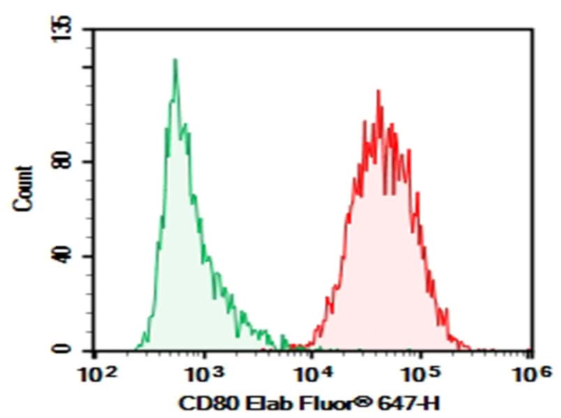 Raji were stained with 0.2 μg AF/LE Purified Anti-Human CD80 Antibody[2D10] (Right) and 0.2 μg Mouse IgG1, κ Isotype Control (Left), followed by Elab Fluor<sup>®</sup> 647-conjugated Goat Anti-Mouse IgG Secondary Antibody.