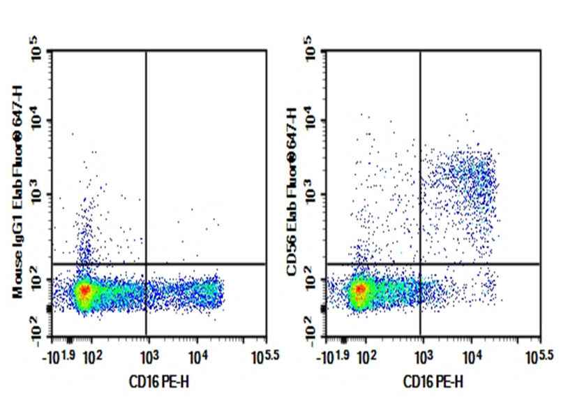 Anti-Human CD56 Antibody [HCD56] - ABMIUM