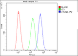 Anti-beta Catenin CTNNB1 Antibody Picoband® (monoclonal, 1F6 Boster Bio