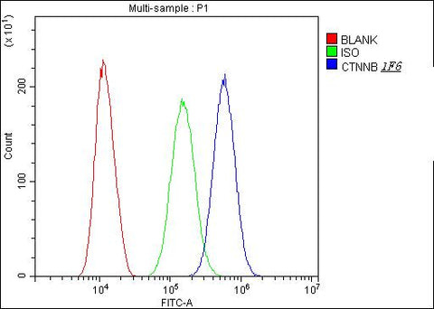 Anti-beta Catenin CTNNB1 Antibody Picoband® (monoclonal, 1F6 Boster Bio