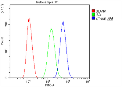 Anti-beta Catenin CTNNB1 Antibody Picoband® (monoclonal, 1F6 Boster Bio