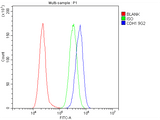 Anti-E Cadherin 1 CDH1 Antibody Picoband® (monoclonal, 9G2 Boster Bio