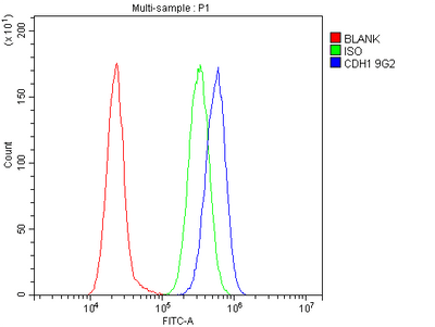 Anti-E Cadherin 1 CDH1 Antibody Picoband® (monoclonal, 9G2 Boster Bio