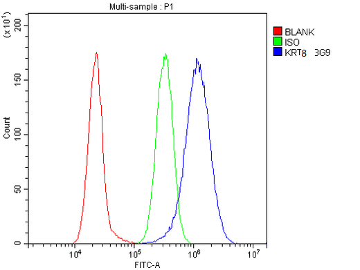 Anti-Cytokeratin 8 KRT8 Antibody Picoband® (monoclonal, 3G9 Boster Bio