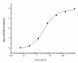 Measured by its binding ability in a functional ELISA. Immobilized human ACE2 protein (His tag) at 2μg/mL (100μL/well) can bind 2019-nCoV Spike Protein (RBD, rabbitFc Tag) (PKSR030522), the EC<sub>50</sub> of 2019-nCoV Spike Protein (RBD, rabbitFc Tag) is 2.0-6.0 ng/mL.