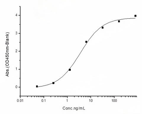 Measured by its binding ability in a functional ELISA. Immobilized human ACE2 protein (His tag) at 2μg/mL (100μL/well) can bind 2019-nCoV Spike Protein (RBD, rabbitFc Tag) (PKSR030522), the EC<sub>50</sub> of 2019-nCoV Spike Protein (RBD, rabbitFc Tag) is 2.0-6.0 ng/mL.