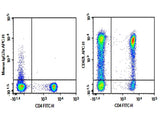 Human peripheral blood lymphocytes were stained with 0.2 μg Purified Anti-Human CD62L Antibody[HI62L] (Right) and 0.2 μg Mouse IgG2a, κ Isotype Control (Left), followed by APC-conjugated Goat Anti-Mouse IgG Secondary Antibody, then anti-Human CD4 FITC-conjugated Monoclonal Antibody.