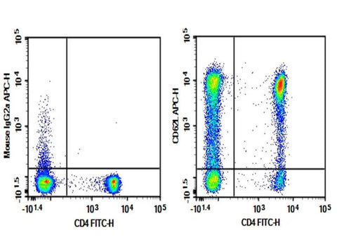 Human peripheral blood lymphocytes were stained with 0.2 μg Purified Anti-Human CD62L Antibody[HI62L] (Right) and 0.2 μg Mouse IgG2a, κ Isotype Control (Left), followed by APC-conjugated Goat Anti-Mouse IgG Secondary Antibody, then anti-Human CD4 FITC-conjugated Monoclonal Antibody.